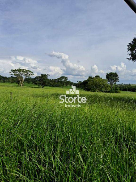 Fazenda à venda, 847000M2 - Foto 3