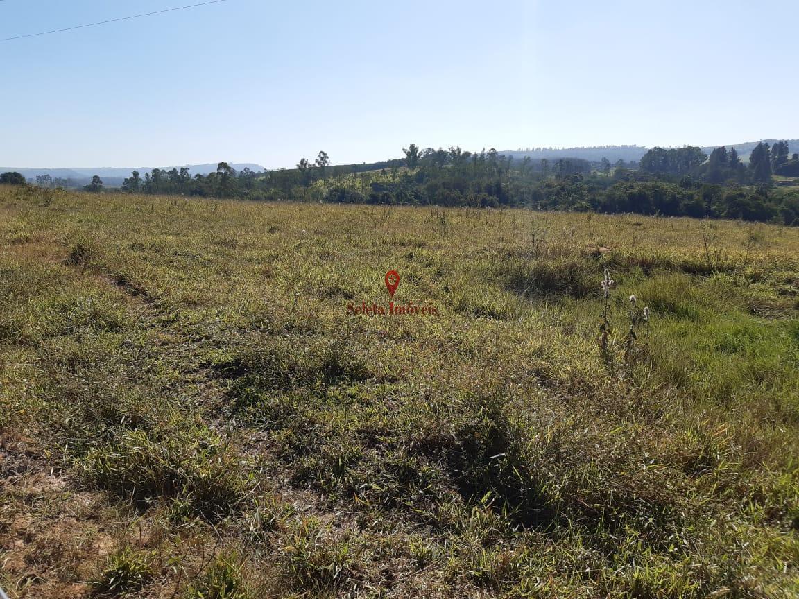 Fazenda à venda com 1 quarto, 24000m² - Foto 4