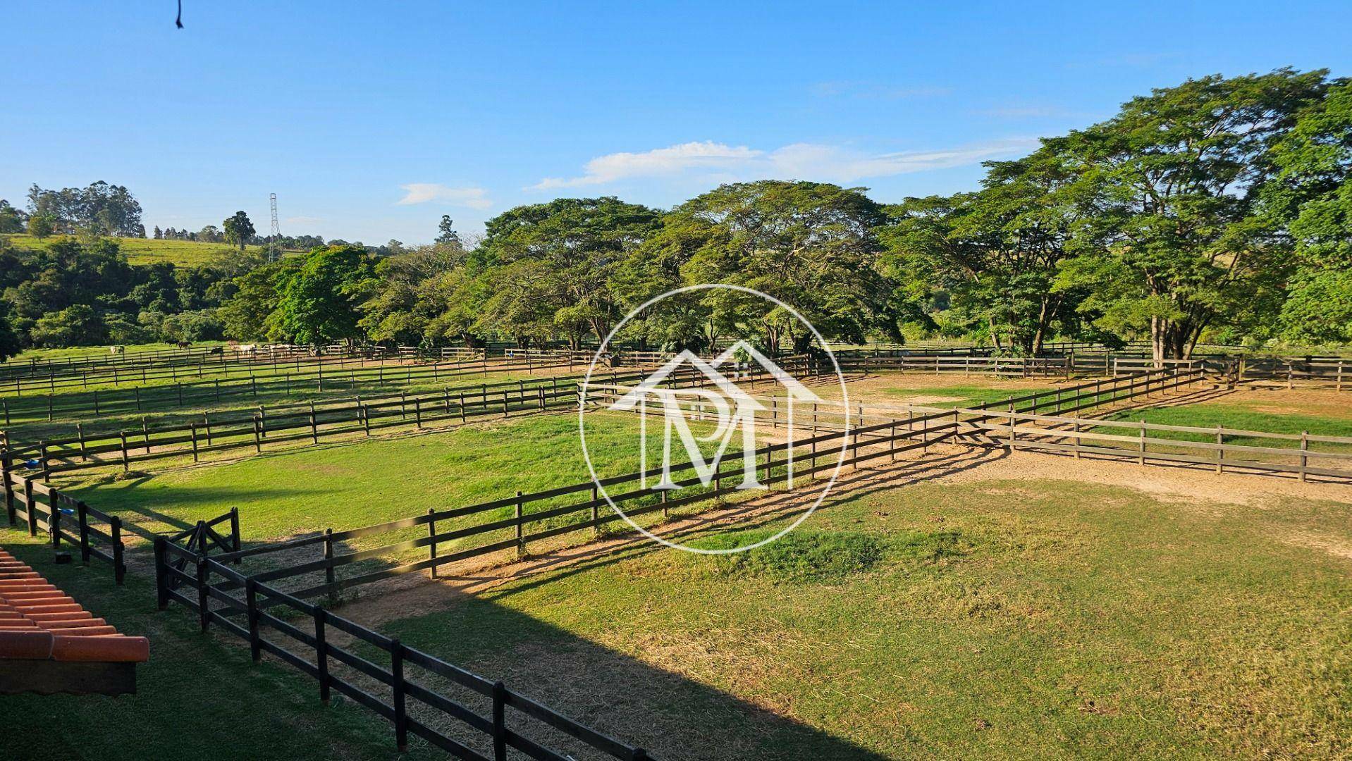 Haras e Área Rural Padrão à venda com 3 quartos, 133100M2 - Foto 19