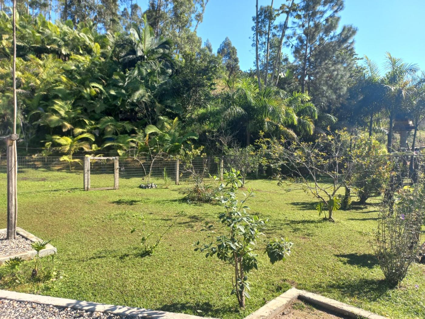 Fazenda à venda com 3 quartos, 3700m² - Foto 11