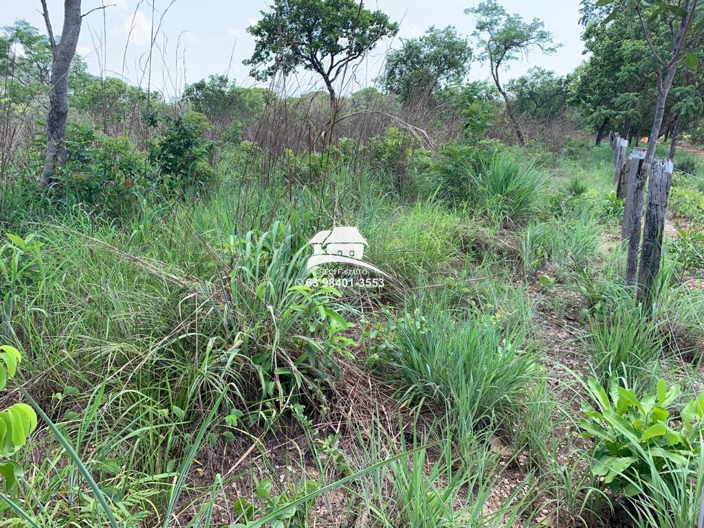 Fazenda à venda com 3 quartos, 120000m² - Foto 11