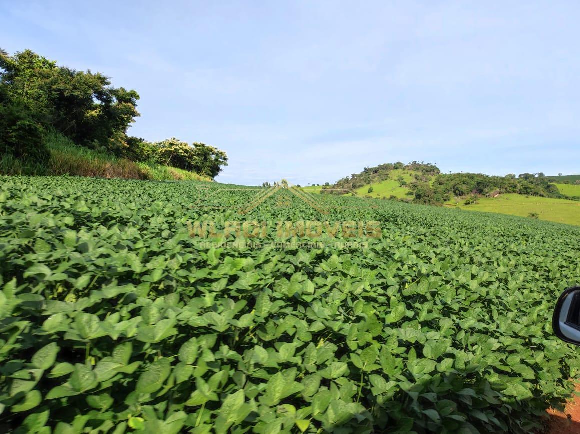 Fazenda à venda, 300m² - Foto 8