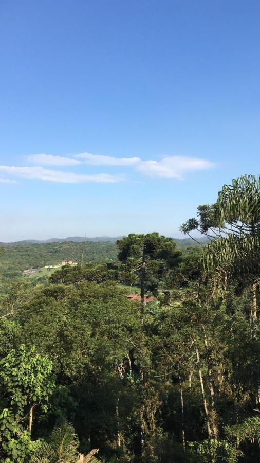 Fazenda à venda com 2 quartos, 1890m² - Foto 6