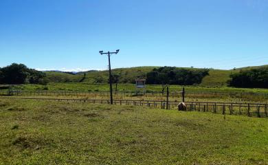 Fazenda à venda com 2 quartos, 210000m² - Foto 22