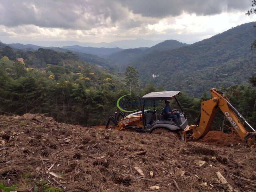 Loteamento e Condomínio à venda, 1767M2 - Foto 8