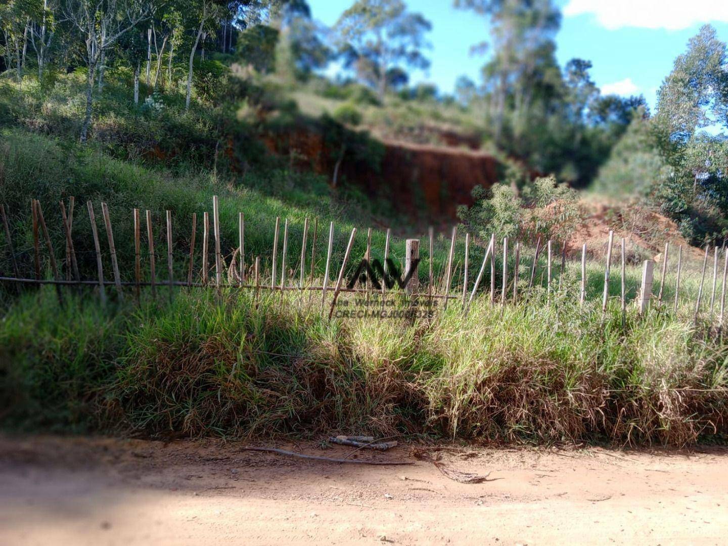 Terreno, 10000 m² - Foto 3