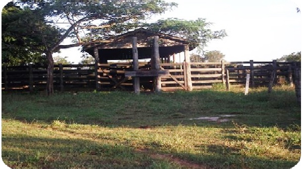 Fazenda à venda - Foto 13