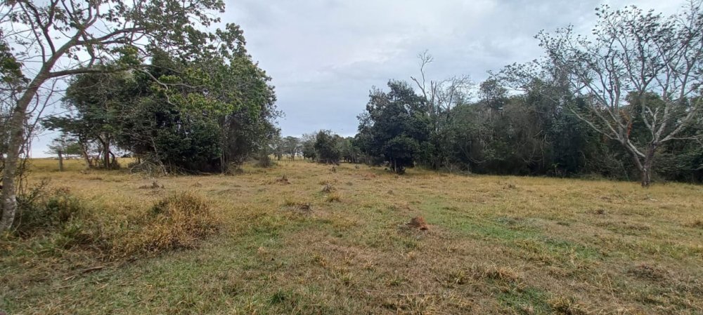 Fazenda à venda, 68m² - Foto 2