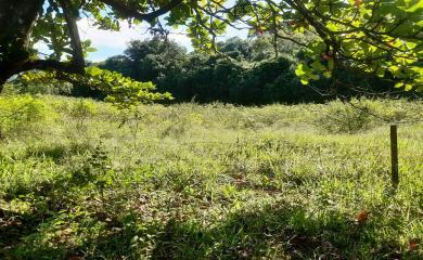 Fazenda à venda com 2 quartos, 18000m² - Foto 10