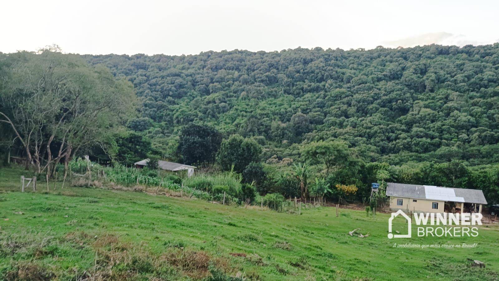 Sítio, 4 quartos, 34 hectares - Foto 1