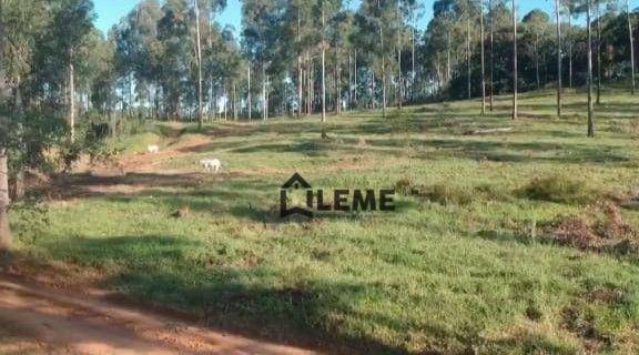 Fazenda à venda, 1258400M2 - Foto 18