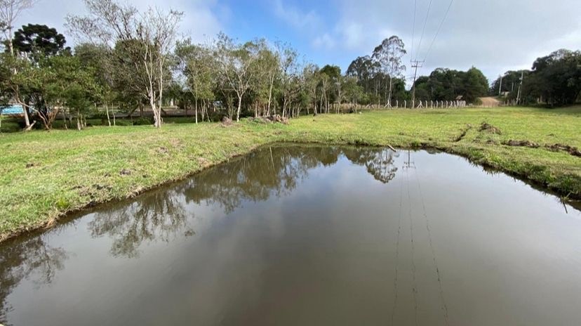 Chácara, 10000 m² - Foto 1