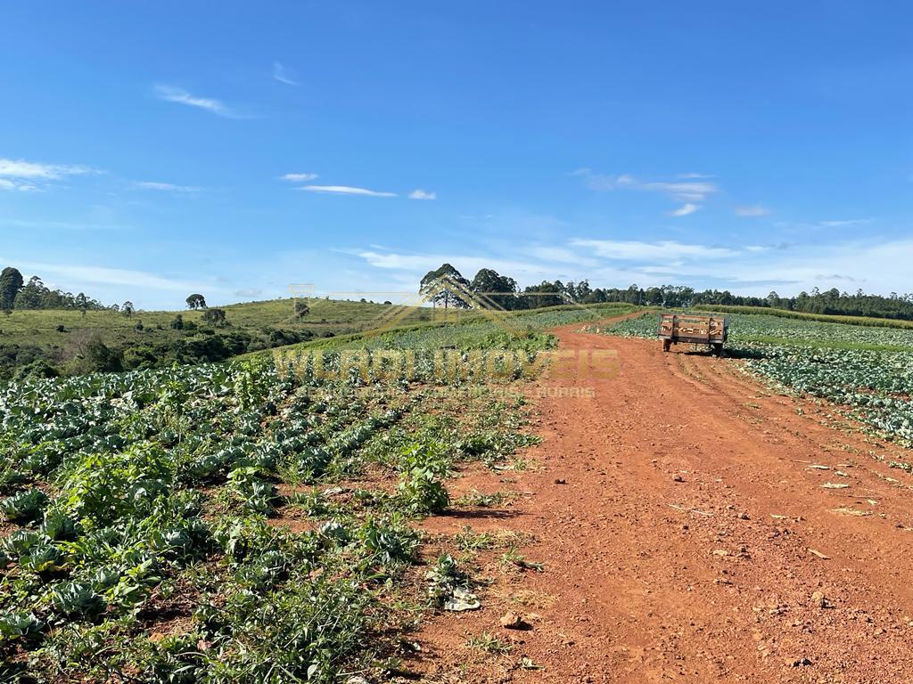 Fazenda à venda, 85m² - Foto 12