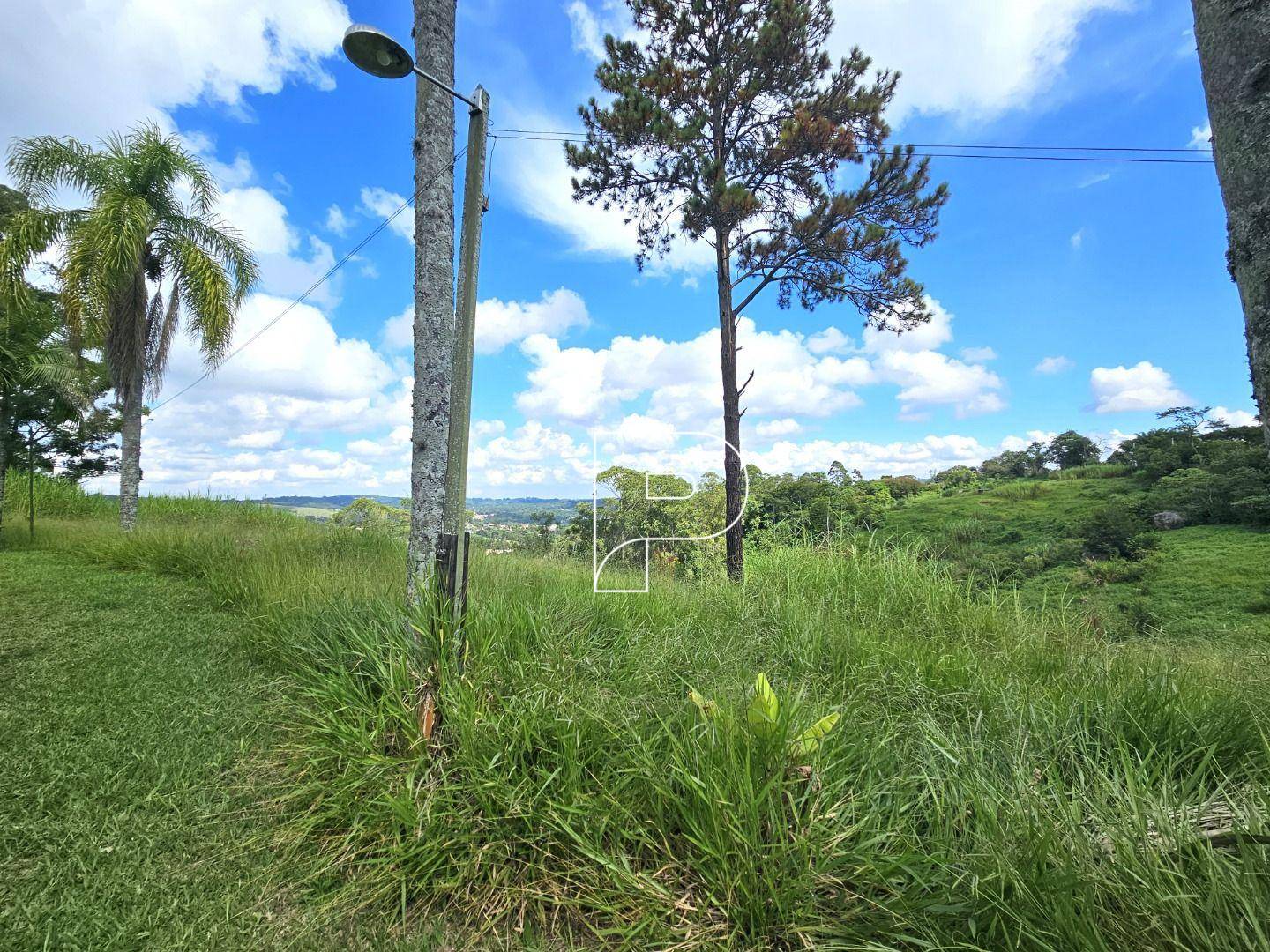 Terreno, 4 hectares - Foto 8