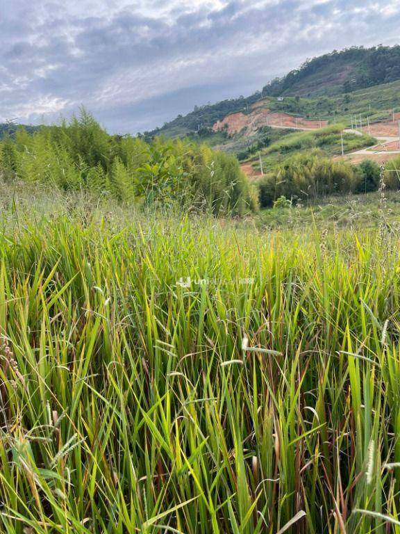 Loteamento e Condomínio à venda, 411M2 - Foto 3