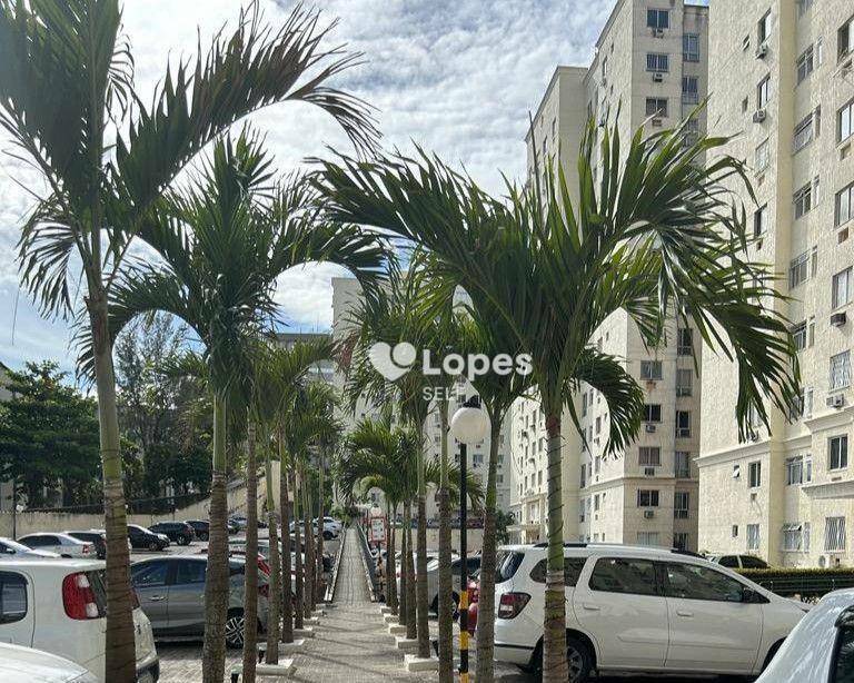 Apartamento à venda com 2 quartos, 55m² - Foto 9