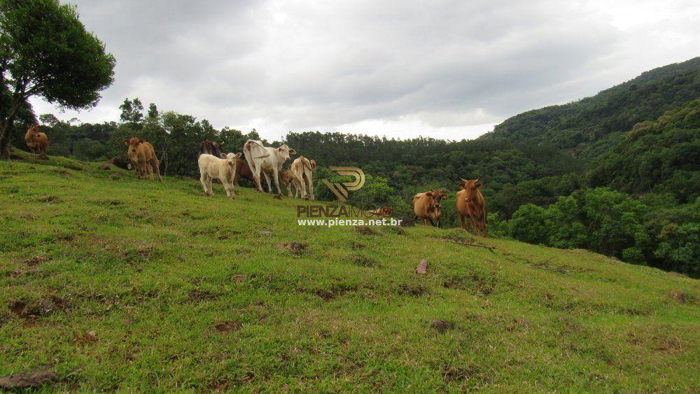 Loteamento e Condomínio à venda, 170000m² - Foto 9