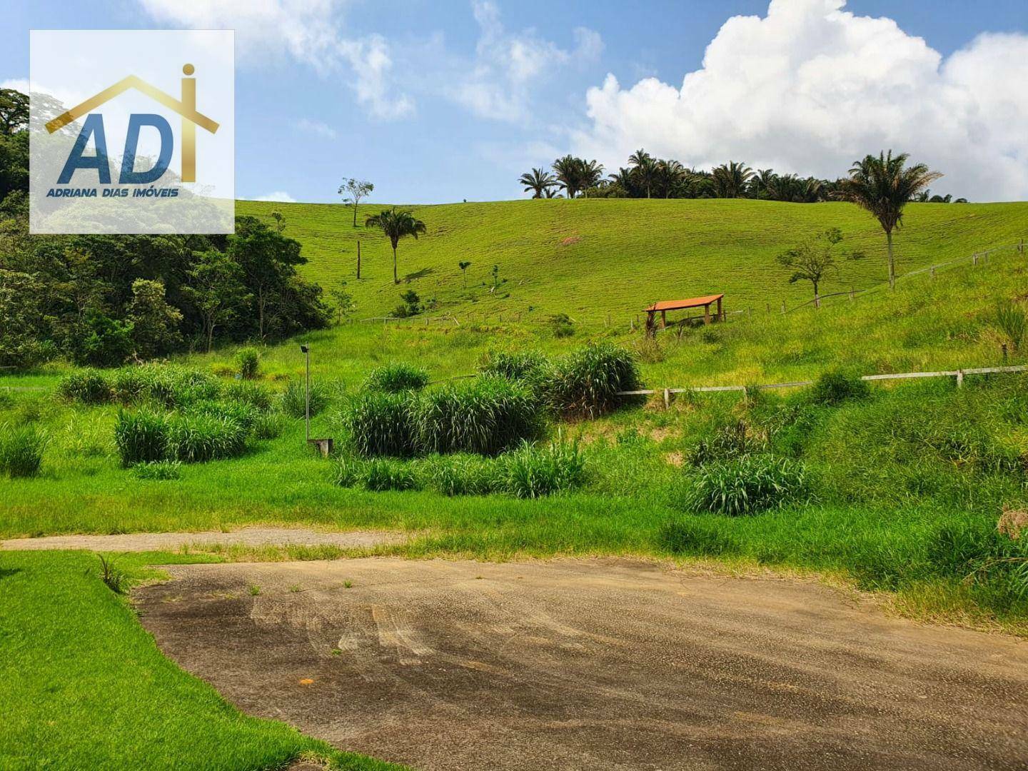 Sítio à venda com 6 quartos, 99884M2 - Foto 14