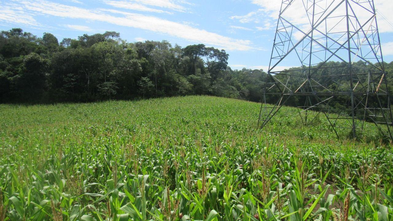 Loteamento e Condomínio à venda, 120000m² - Foto 15