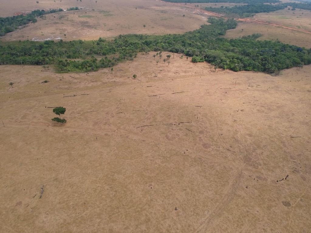 Fazenda à venda, 41140000M2 - Foto 11