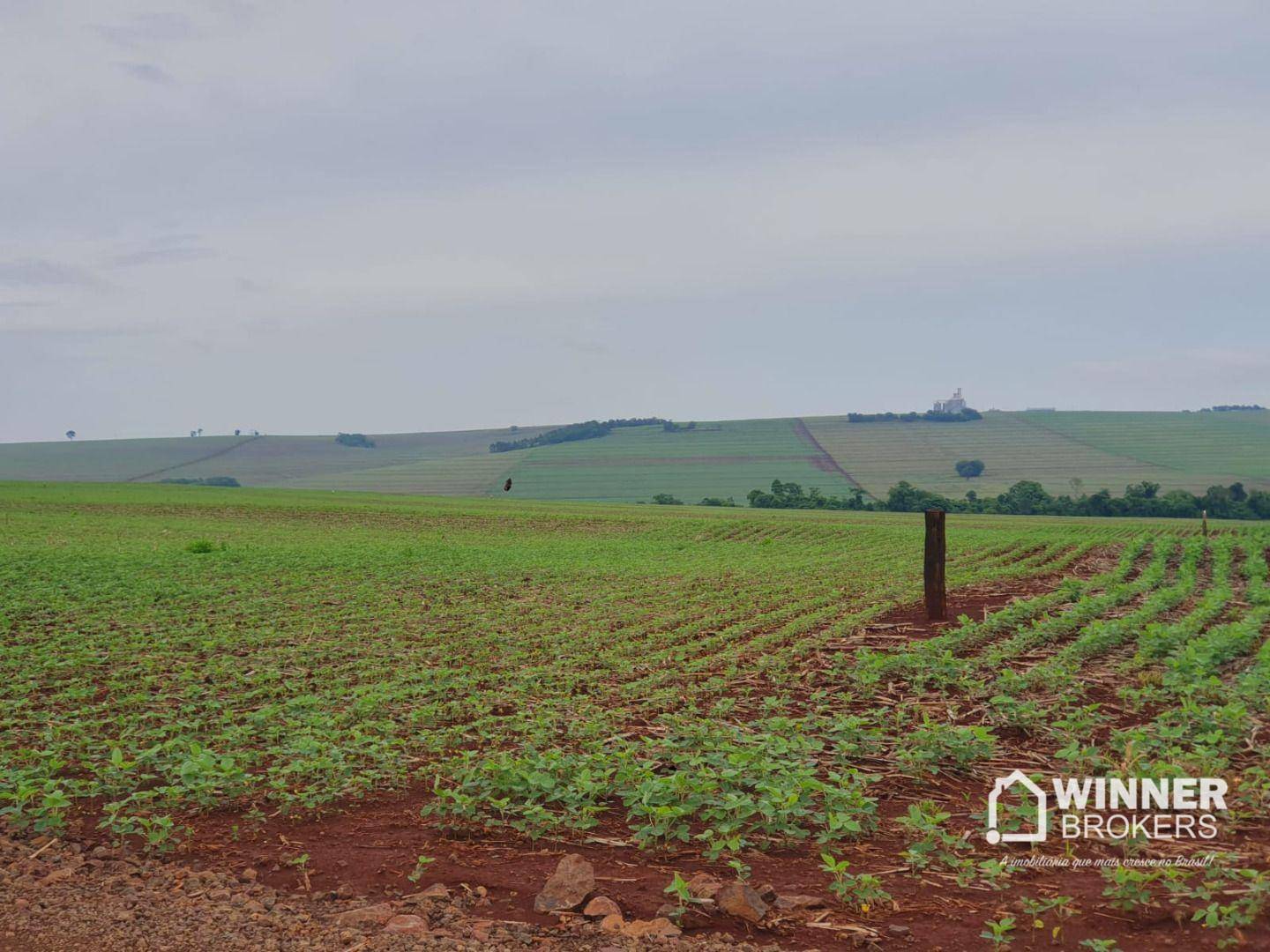 Sítio, 15 hectares - Foto 1