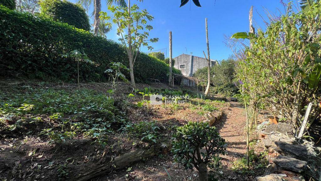 Chácara à venda com 8 quartos, 5000M2 - Foto 16