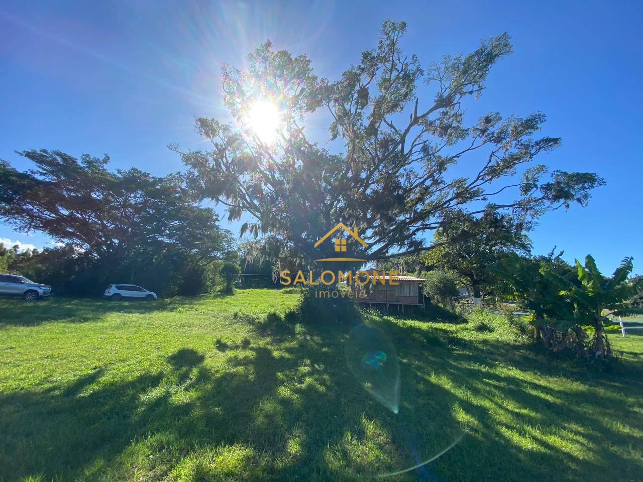 Sítio, 2 quartos, 10000 m² - Foto 2