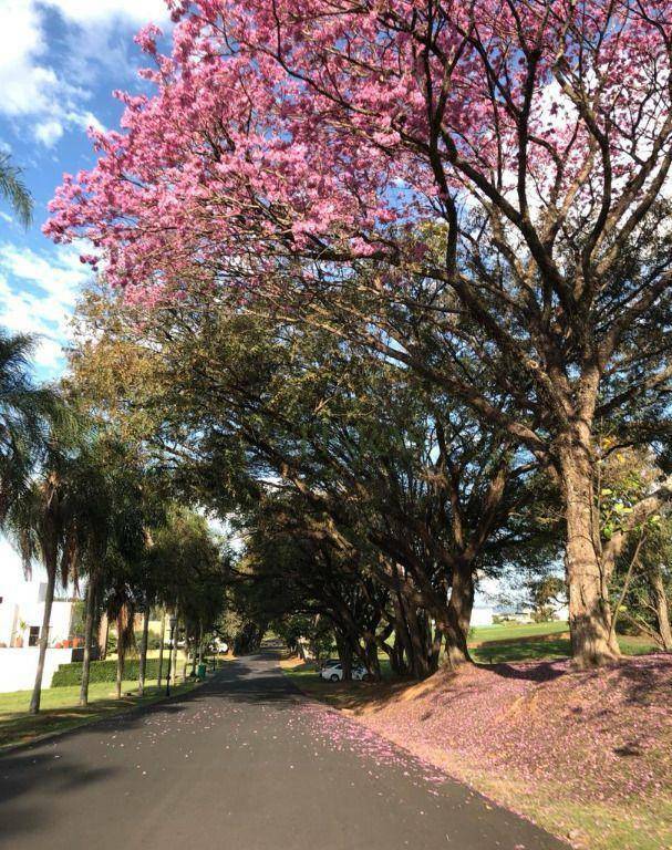 Loteamento e Condomínio à venda, 1228M2 - Foto 6