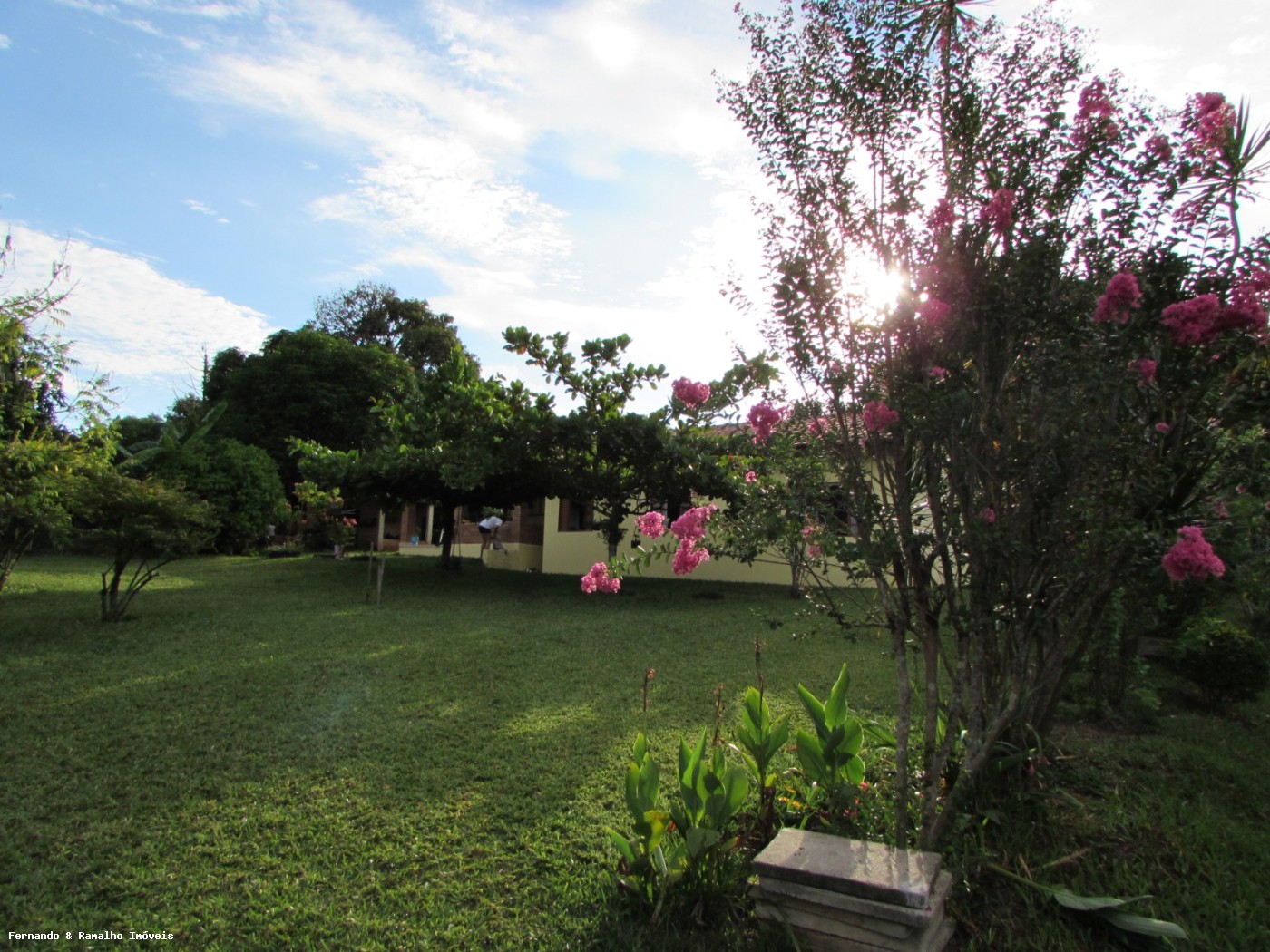 Chácara à venda com 6 quartos, 6000m² - Foto 27