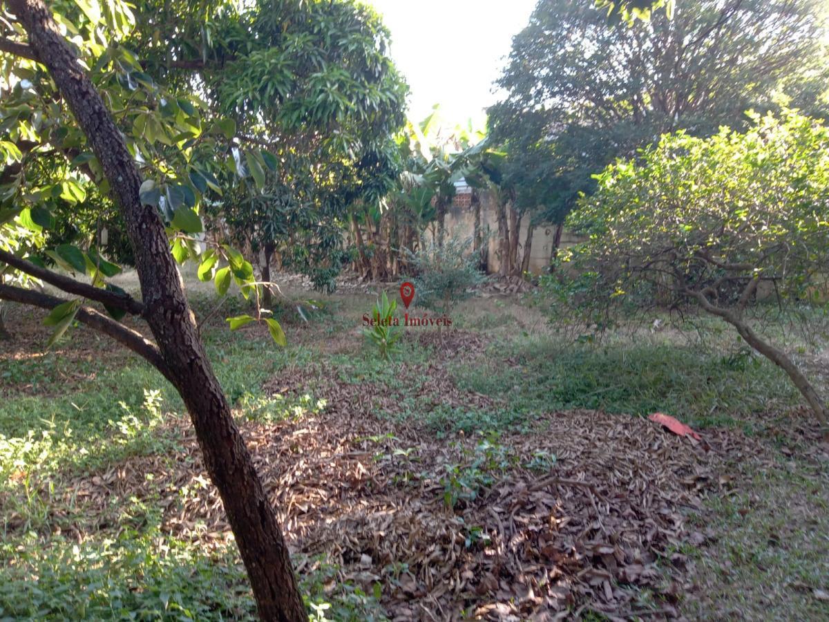 Terreno à venda com 1 quarto, 1890m² - Foto 23