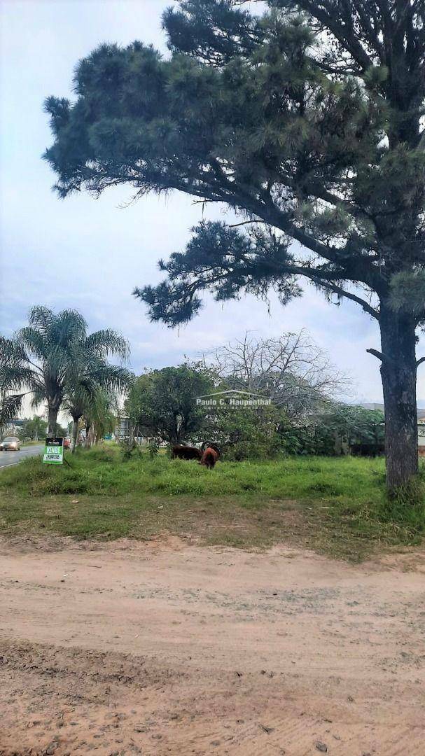 Terreno à venda, 751M2 - Foto 3