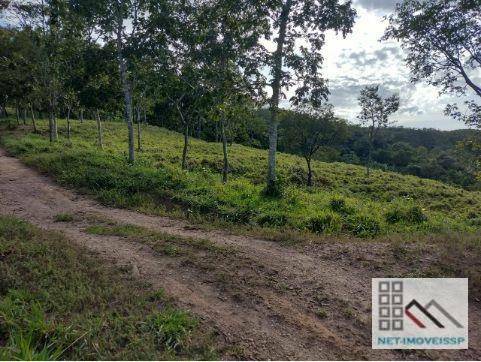 Fazenda à venda com 4 quartos, 500m² - Foto 15