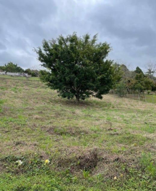 Fazenda à venda com 4 quartos, 15000m² - Foto 7