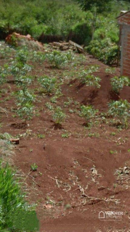 Terreno, 250 m² - Foto 3