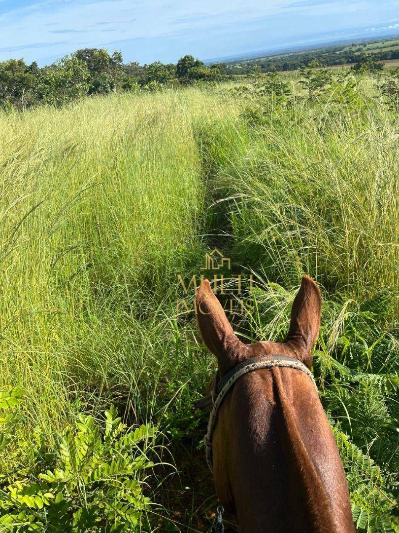 Fazenda à venda com 3 quartos, 10360000M2 - Foto 8