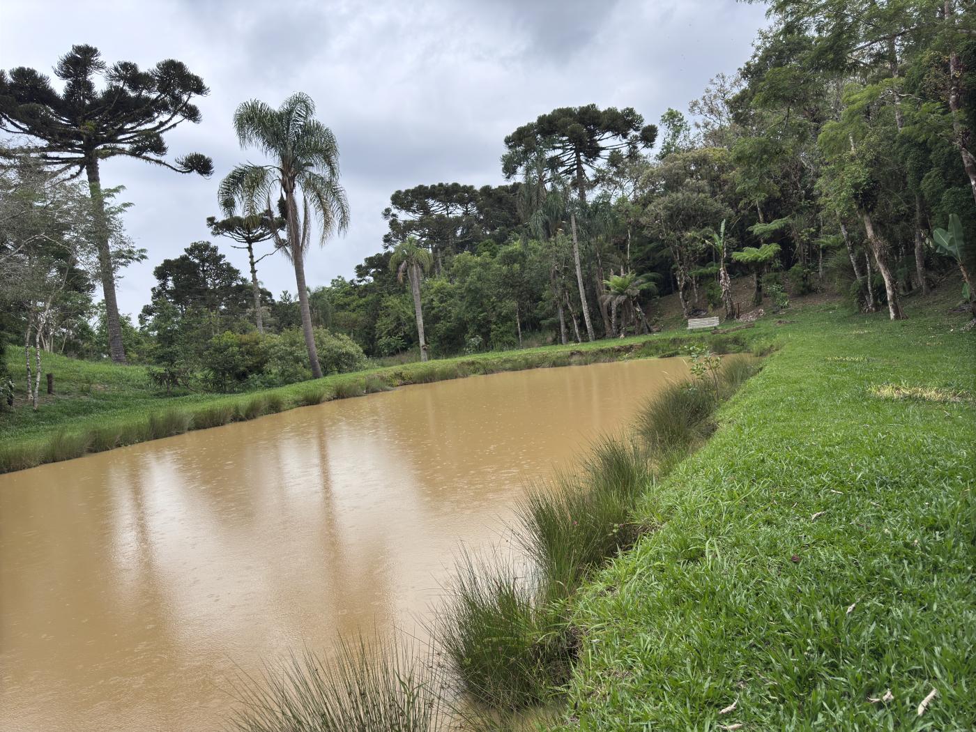 Chácara à venda com 4 quartos, 15000m² - Foto 53
