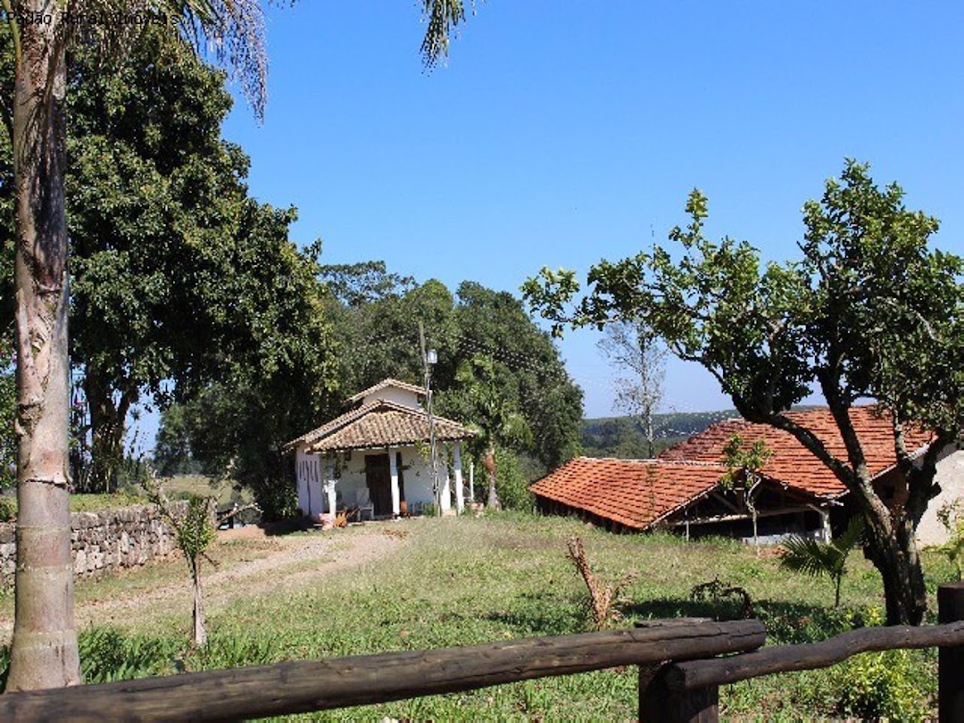 Haras e Área Rural Padrão à venda com 2 quartos, 1600m² - Foto 10