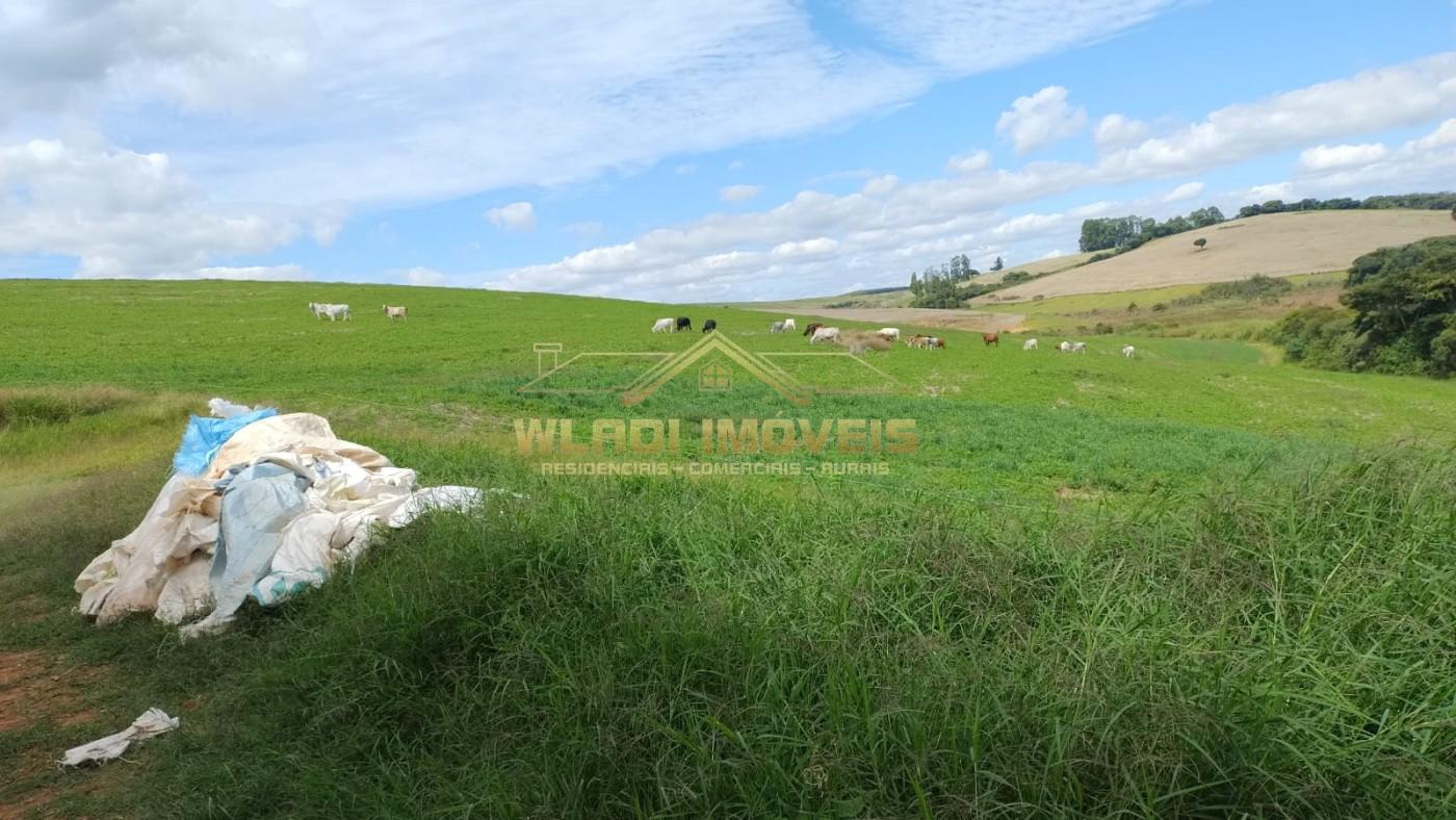 Fazenda à venda, 160m² - Foto 35