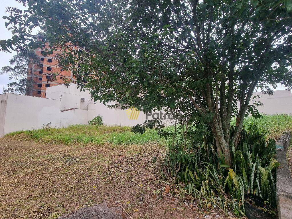 Terreno, 250 m² - Foto 1