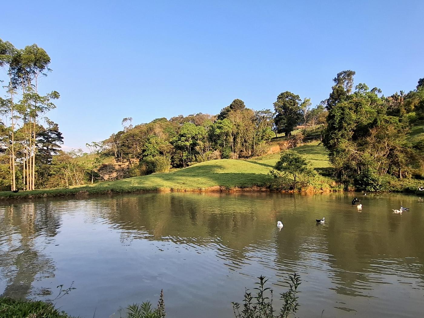 Fazenda à venda com 3 quartos, 90000m² - Foto 46