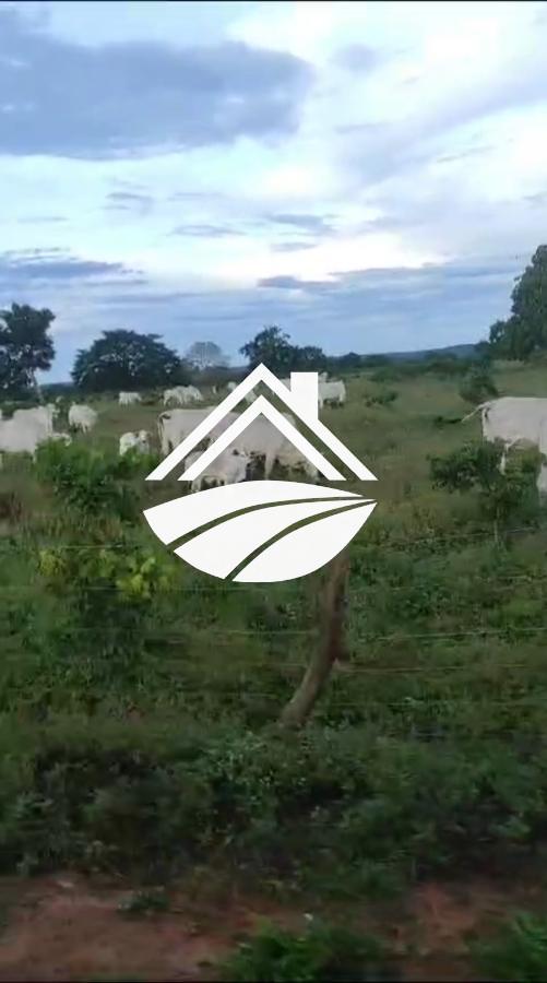 Fazenda à venda, 1m² - Foto 10