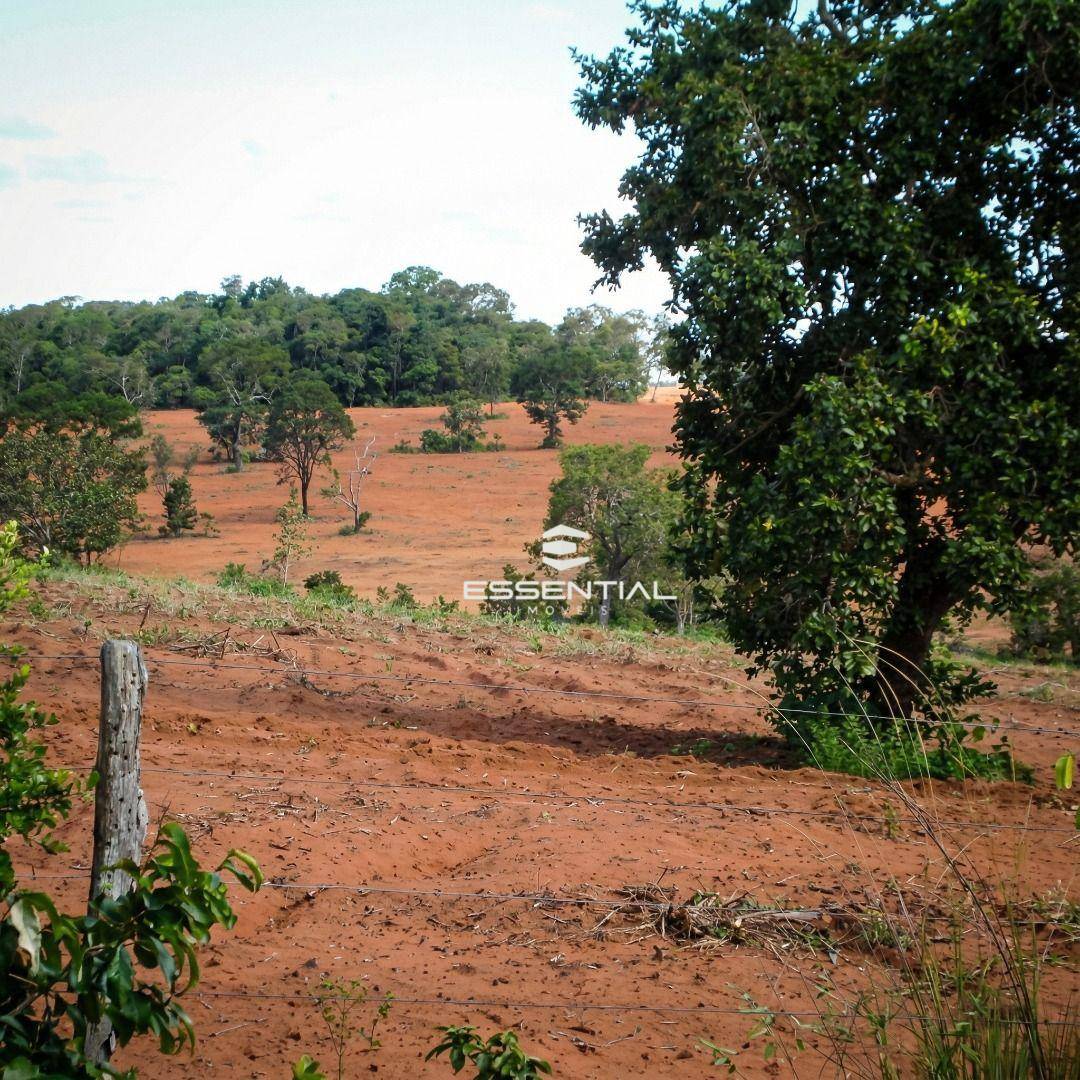 Fazenda, 5800 hectares - Foto 5