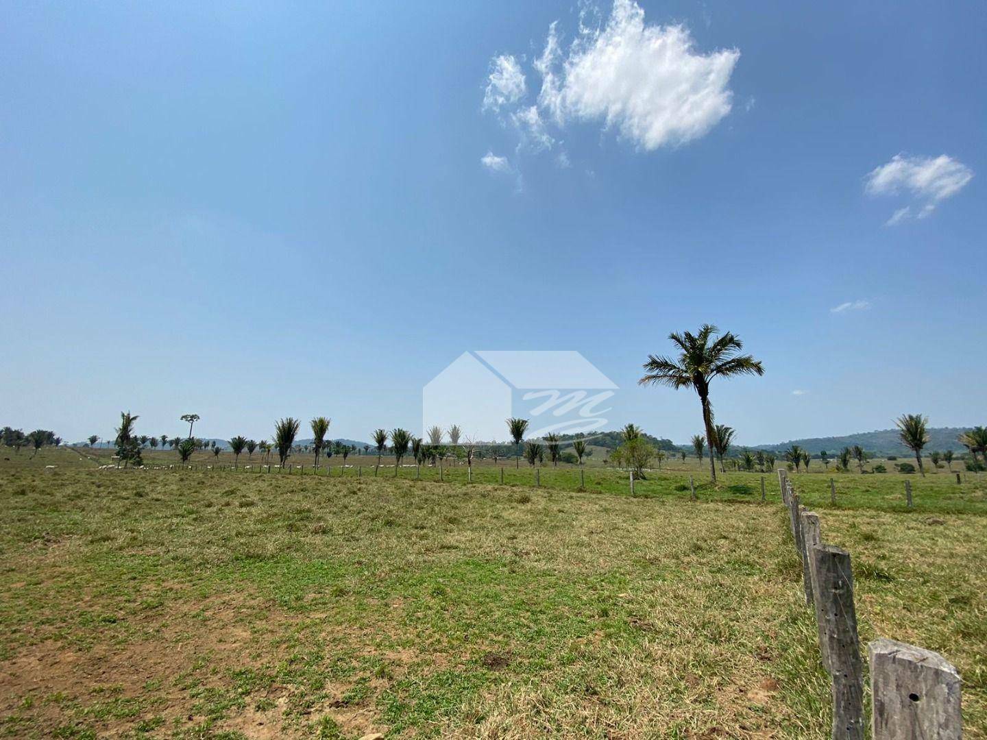 Fazenda à venda com 3 quartos, 2420000M2 - Foto 15