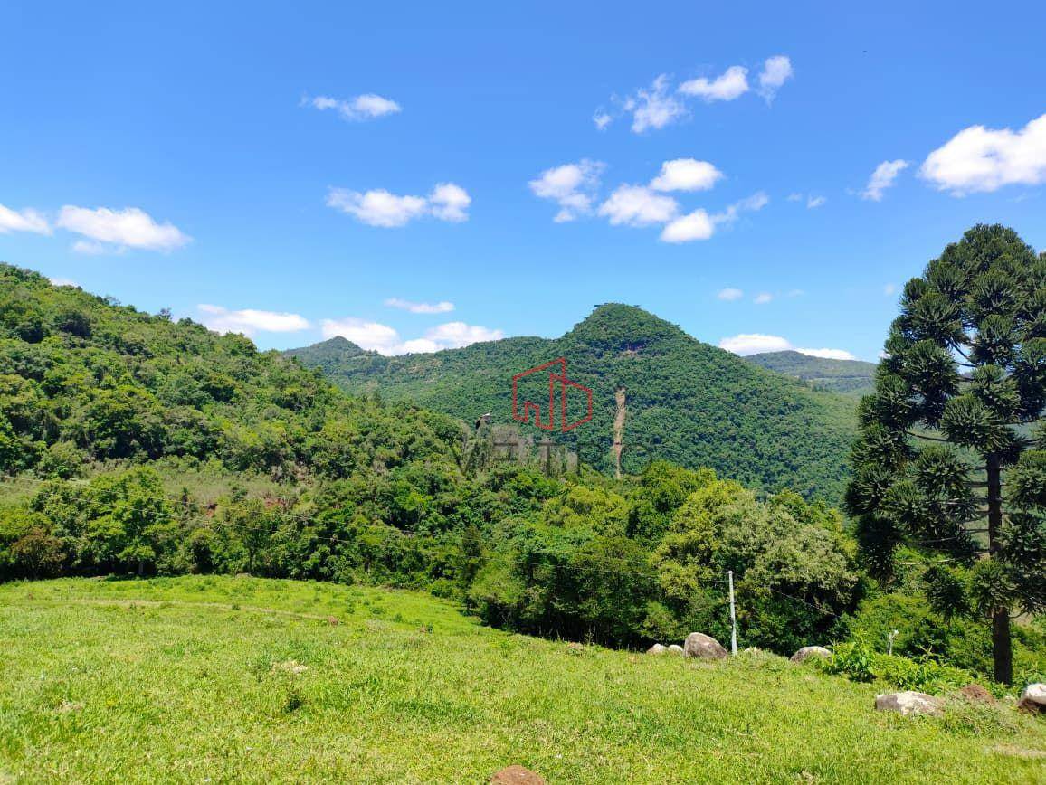 Sítio, 8900 m² - Foto 2