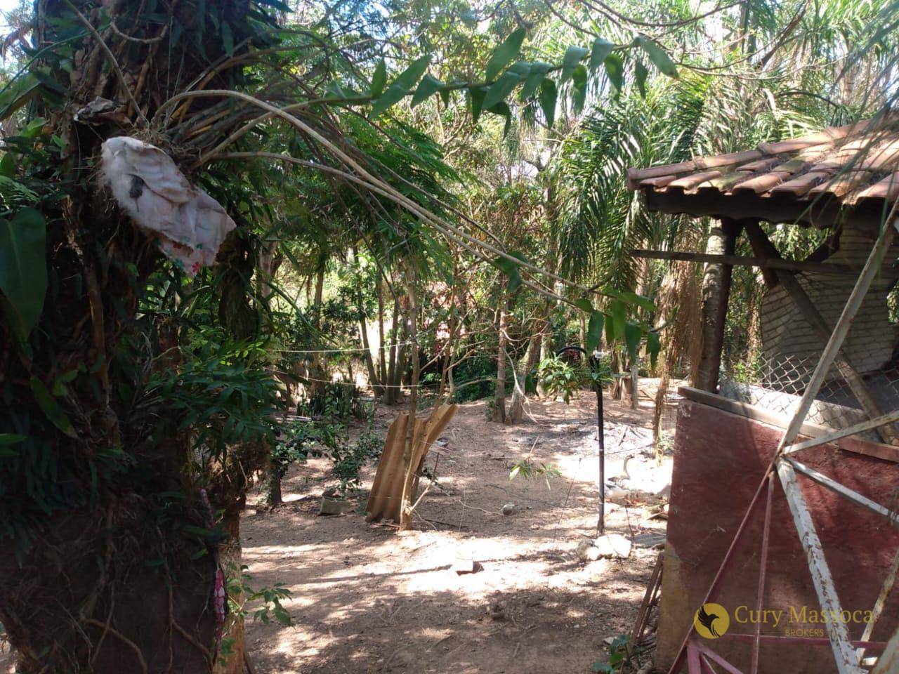 Chácara, 7 quartos, 2350 m² - Foto 5