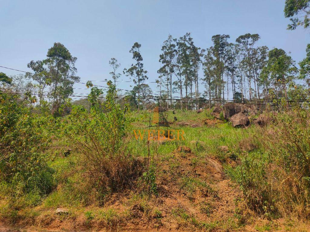 Terreno à venda, 5000M2 - Foto 4