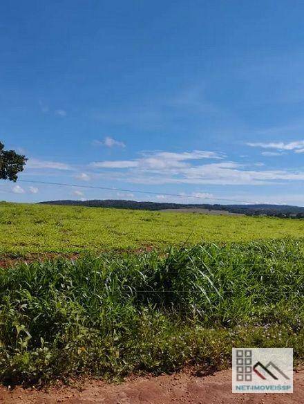 Fazenda à venda com 5 quartos, 500m² - Foto 14