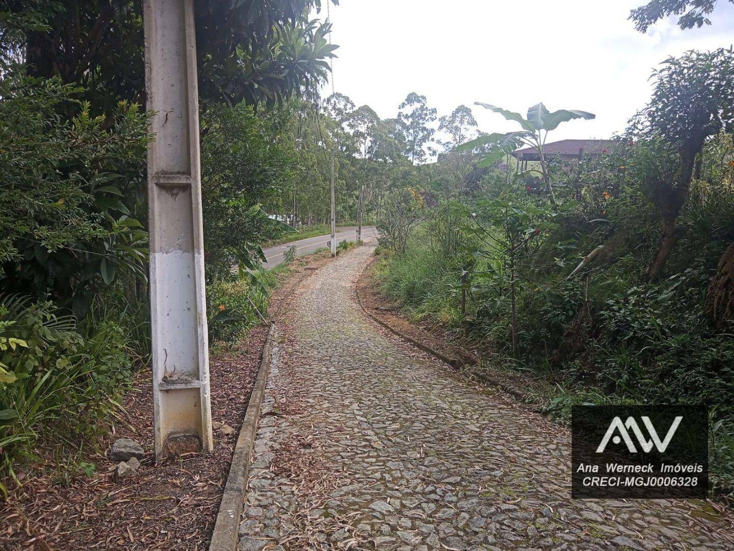 Sítio, 1 quarto, 2000 m² - Foto 3