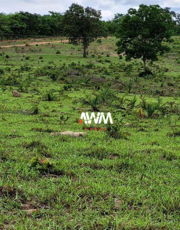 Fazenda, 813 hectares - Foto 2