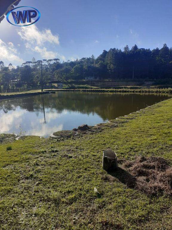 Pousada-Chalé à venda com 3 quartos, 400m² - Foto 36